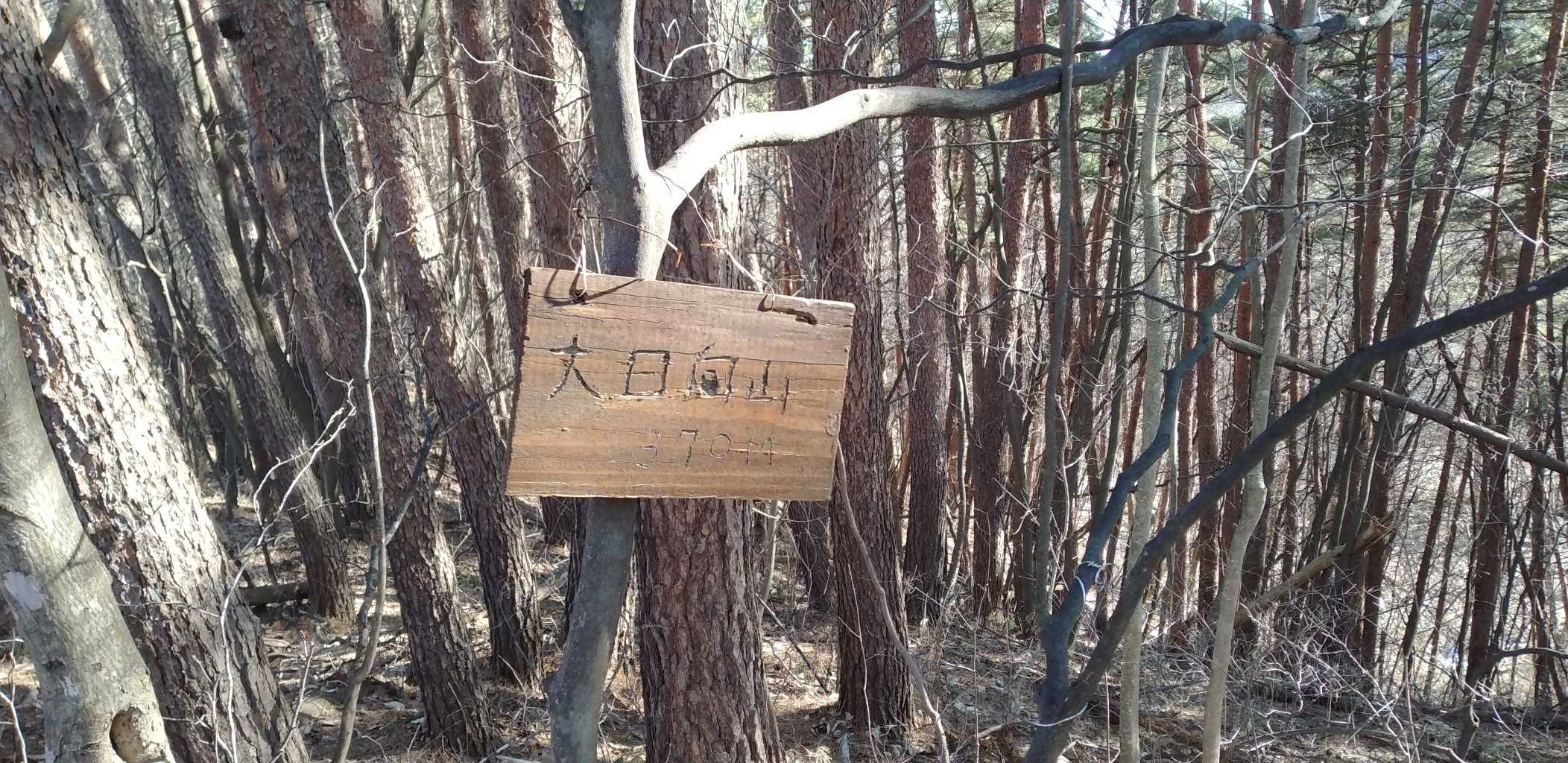 3座目の大日向山に登頂です。