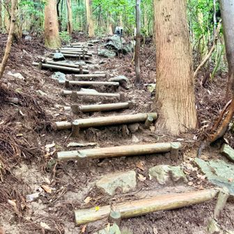 見返り坂　急だ〜
涼しいけど上りは暑い〜
上にいる人と入れ替わりたい〜