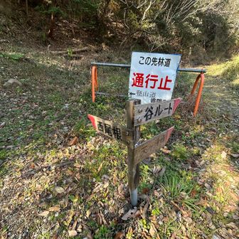 二日酔い&風邪気味の後遺症か、冬用登山靴の影響か、ただ単に鍛え方が足りないだけか分かりませんが、足にダメージが・・・🥾
ちなみに山頂にヤギはいませんでした🐐最近は別の場所にいるようですが、山頂で手持ちの食料を食べ尽くし、芍薬甘草湯と塩飴しかもっていなかったので、そんな奴にはヤギも用はないだろうと思い、大人しく下山🚶