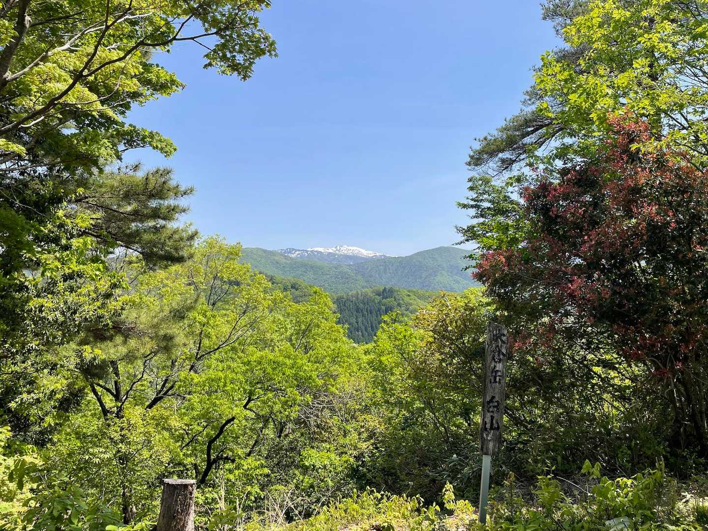 白山
かこさーん！
おーい！
