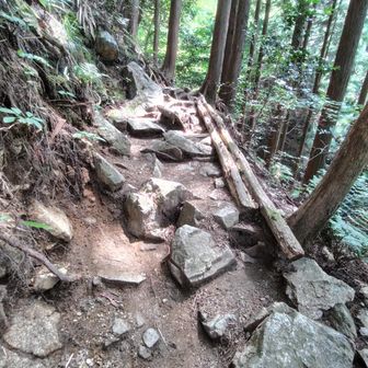 こんな道や