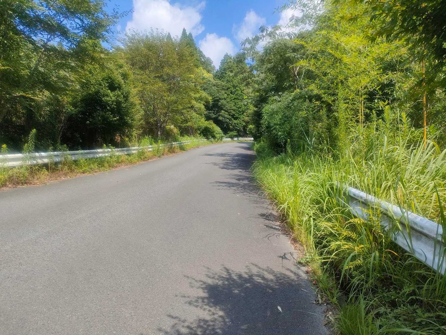 矢筈岳-諸正岳 周回コースの写真