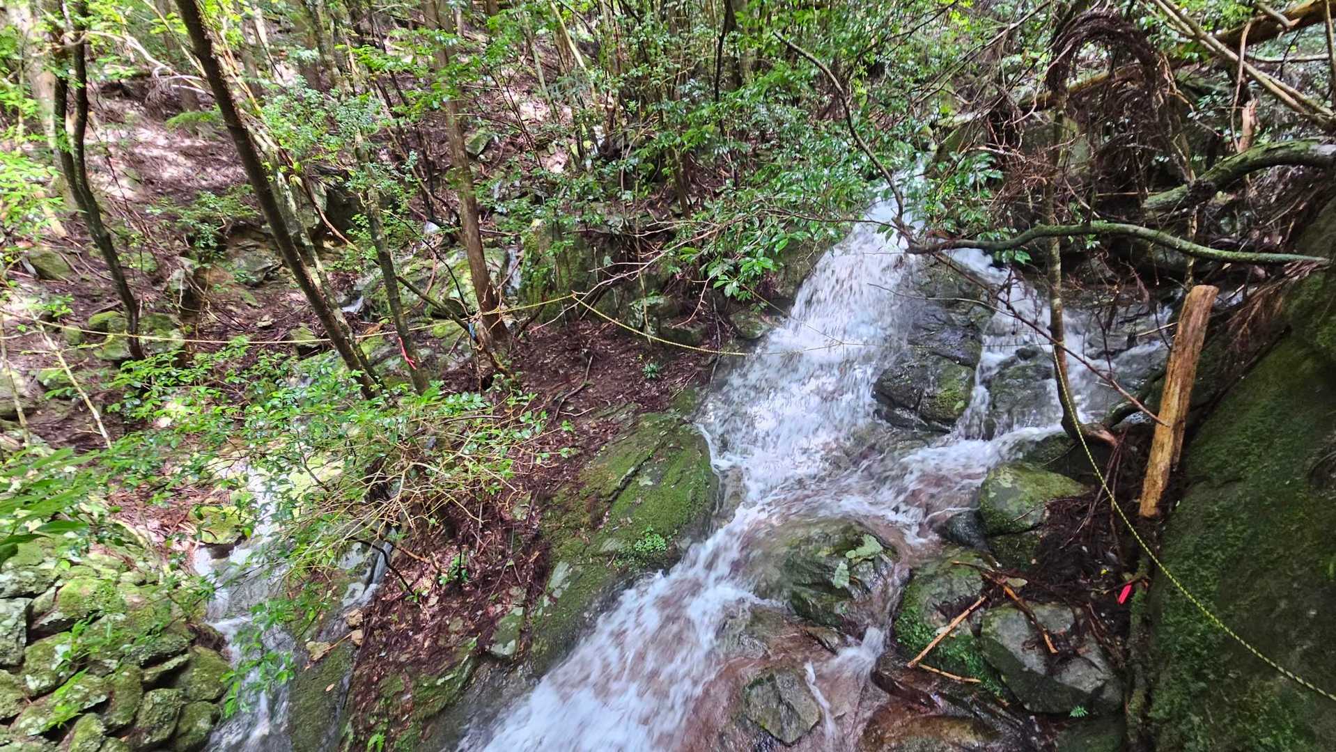 渡渉箇所。