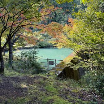 おおなる池。秋の気配。