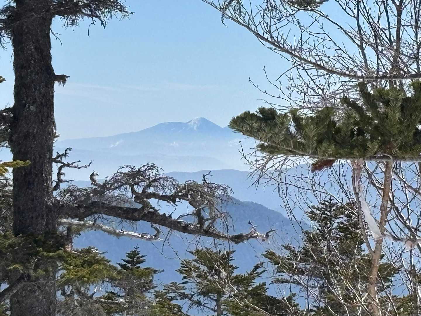 樹林帯の隙間から浅間山⤴️

あそこまでは高速代がかかるかな😅

十石山は、高速代にガソリン代がそんなにかからんコスパなお山😅