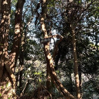 胡桃山登頂⛰️