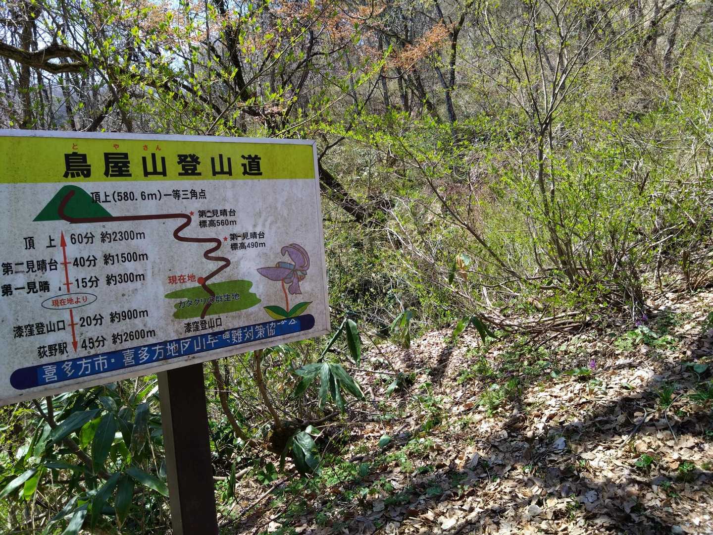 漆窪登山口-鳥屋山 往復コースの写真