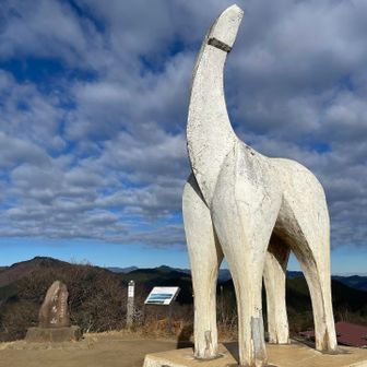 来年は60年にひと巡りの丙午

私が出会った丙午の女性は芯が強く、優しい✨