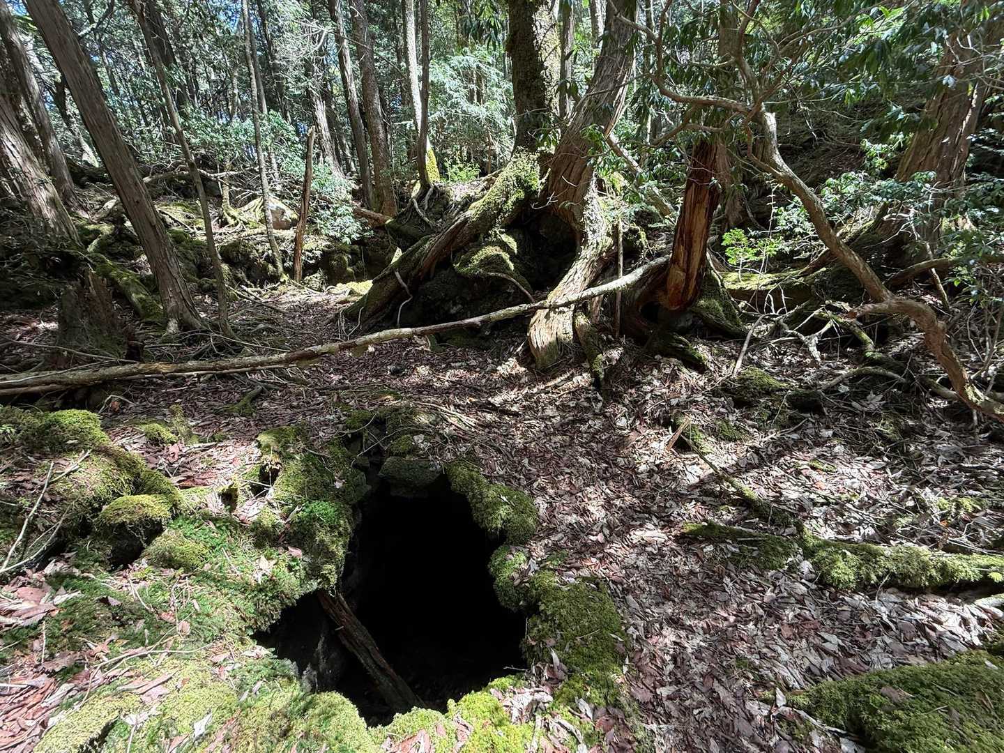 神座風穴付近。
登山道の真横、ポコポコと穴が開いている為、落ちないよう注意⚠️
溶岩流で作られた地形である事を実感🌋