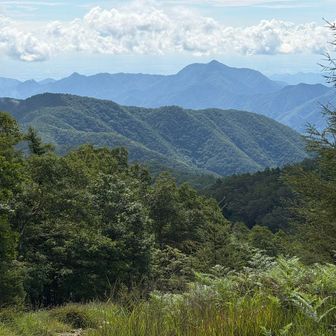 正面に奥多摩三山の雄、大岳山が見え、その左に御岳山奥之院、日の出山、御岳山もクッキリと。よく見れば都心の街並みも見えていた。
