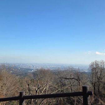 遠くまできれいにみえました！眺め抜群！