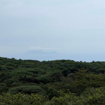 屋久島だよね💕︎

いつか行ってみたいな🤩