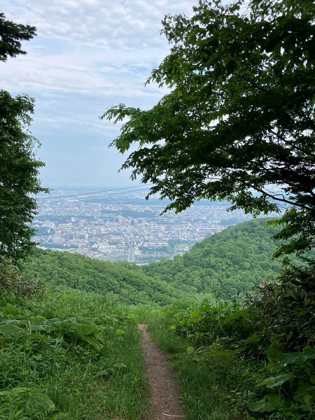 藻岩山ルート入口-山鼻山-藻岩山神社-札幌もいわ山ミニケー 往復コースの写真