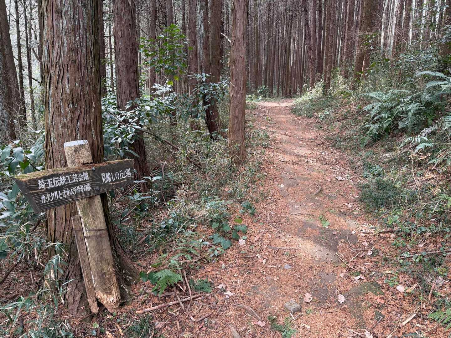 仙元山遊歩道入口-仙元山-城山-大日山-物見山-仙元山遊歩 周回コースの写真