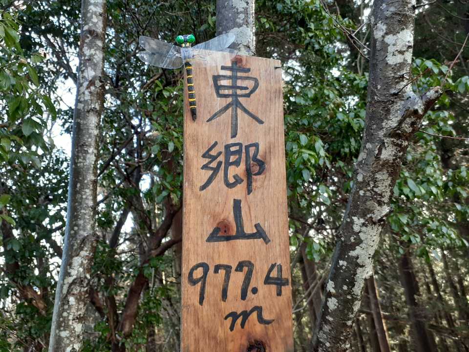 東郷山到着😃
ここで朝食予定でしたが、展望なく座るのに適した場所もないので、四本杉に向かう途中で良いところ探します。