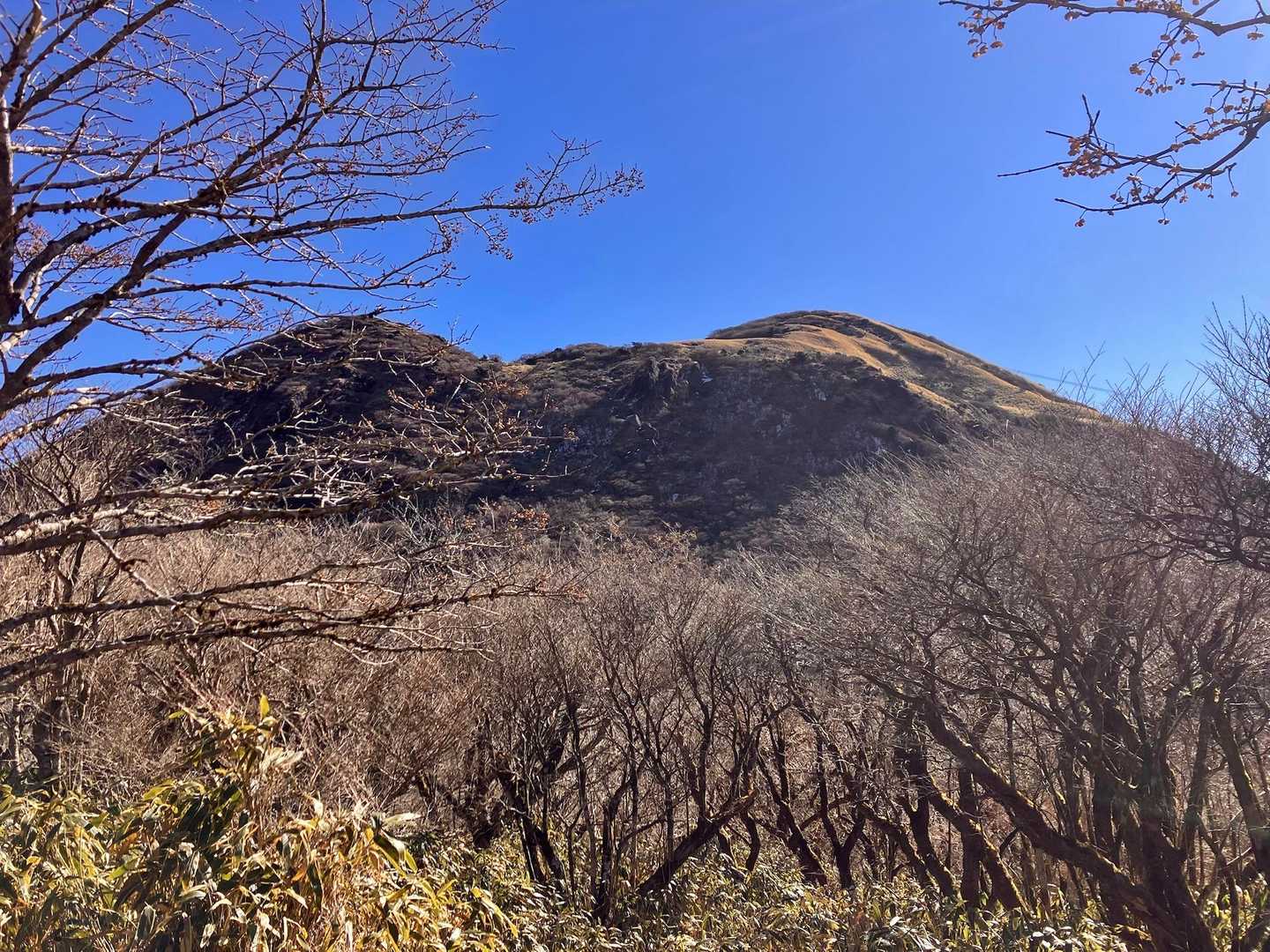 箱根駒ヶ岳が見えました✨