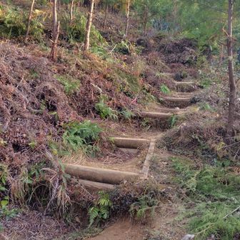 最後のキツい登り。もうしんどくて鬼の形相よ👹