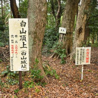 標高は319m。
これから行く孔大寺山との標高差は約100m。