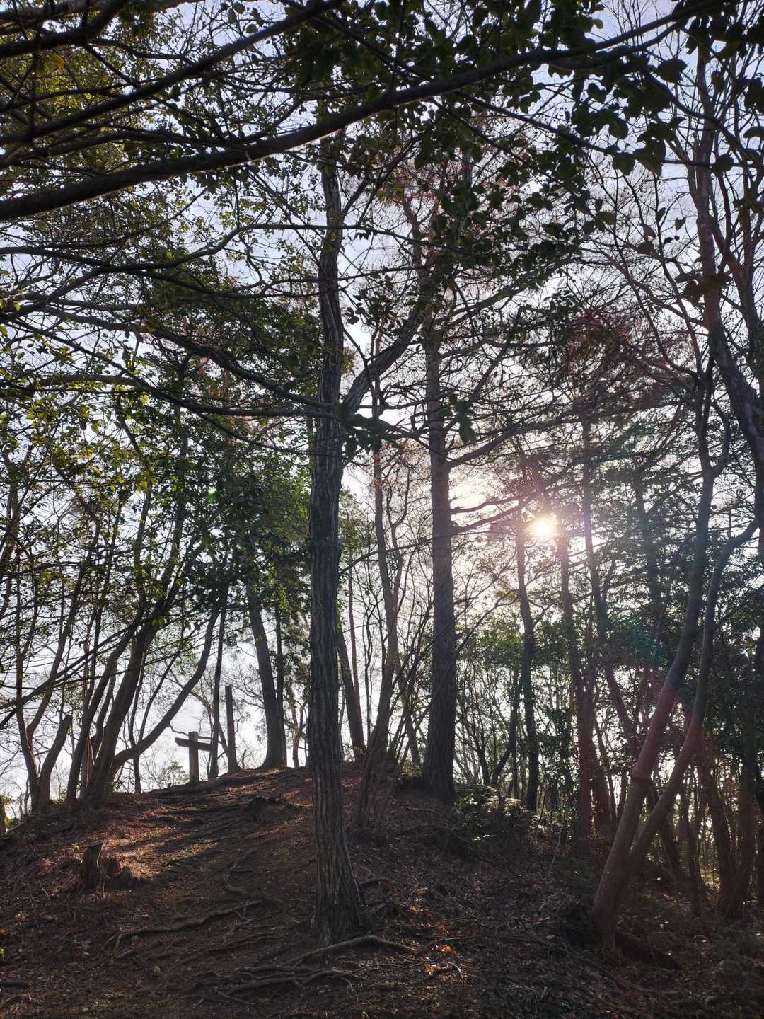 通宝寺山-小坪山 周回コースの写真