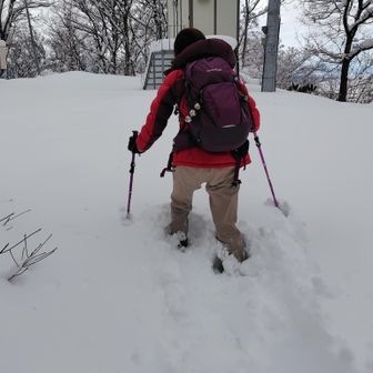 最後、標識までの数十m、まっさらな雪面に自分のトレースを刻む楽しみを知ってもらうために山頂手前で交代