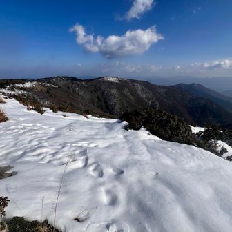 来し方を振り返るとフトウヶ峰にちょっと白いものがある程度。達磨ヶ峰は雪なし。どんどん溶けている🫠
山頂の気温、なんと14℃！