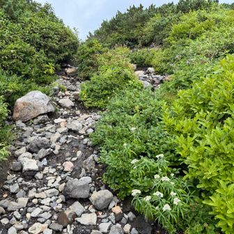 雪解け時期は川になっています