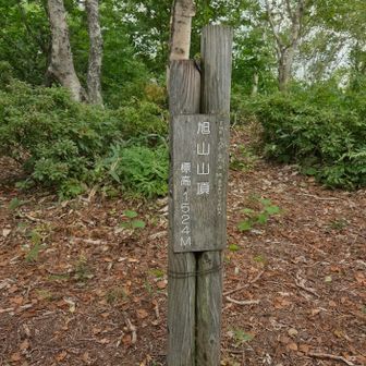 お手軽なのに、標高1,524m！