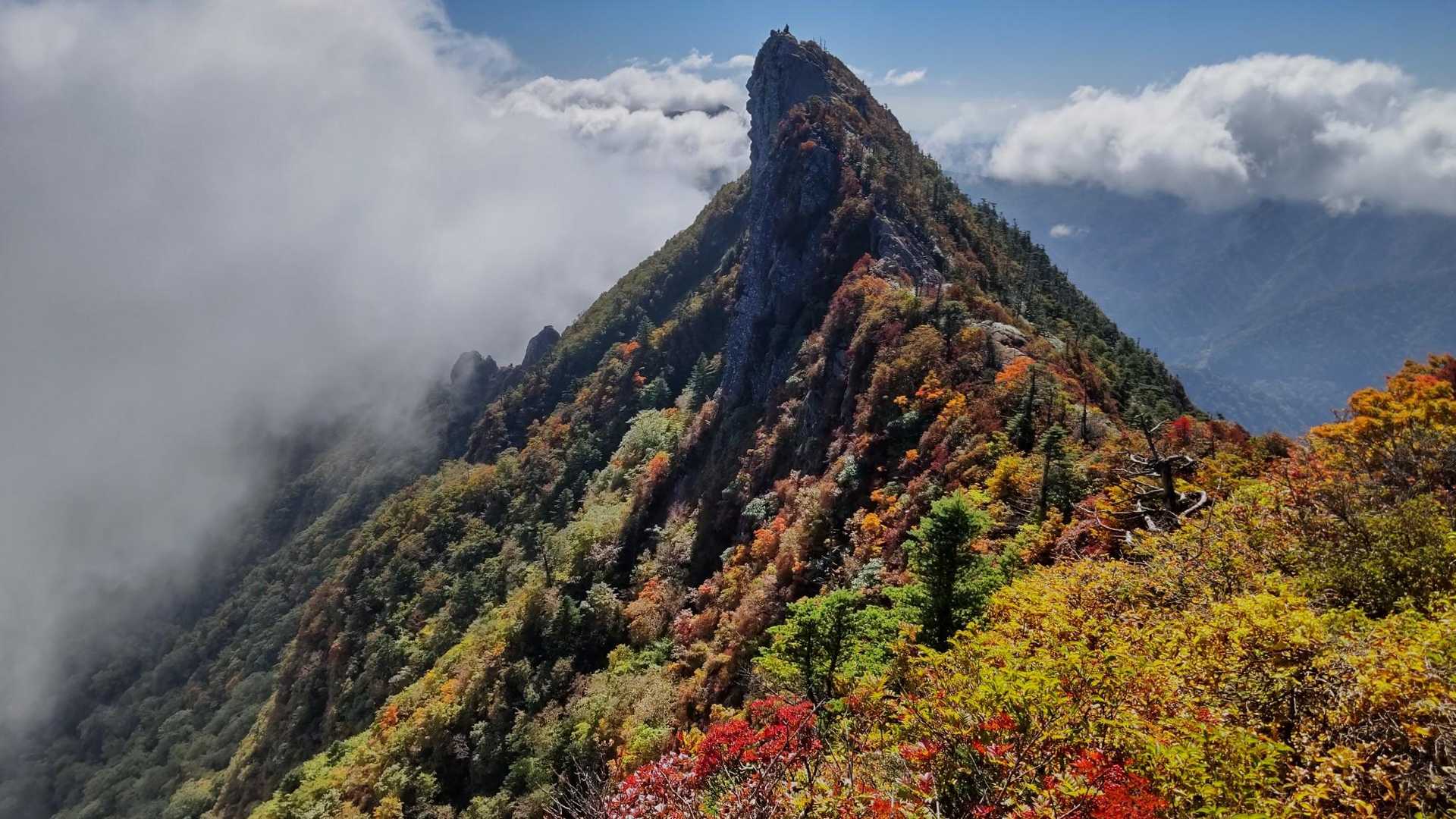 天狗岳紅葉綺麗です!