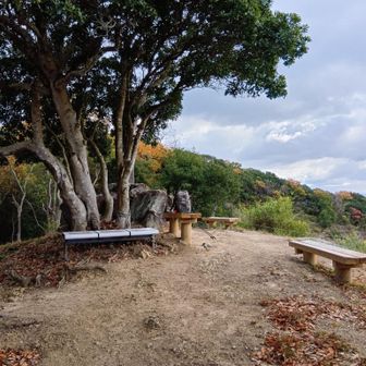 猿坂峠。
落ち着いた感じで、しかもこちらから観る風景も中々＼(^o^)／