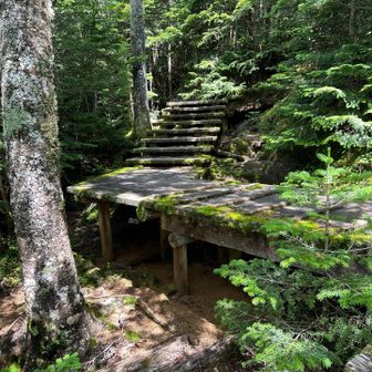 小屋の裏山探索。峠(標高2300m)からまた300m登るけど階段が整備されていて楽(楽とは言っていない)。