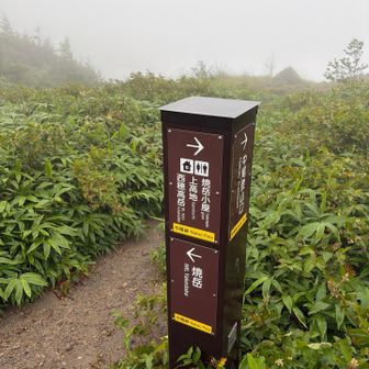 中尾峠。この辺で爆風に煽られます。