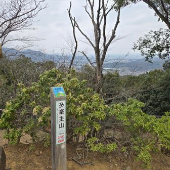 山頂到着です。可愛らしい山頂標柱が迎えてくれました。
そこで、毎日のように登られている方から、歴史を教えていただきました。