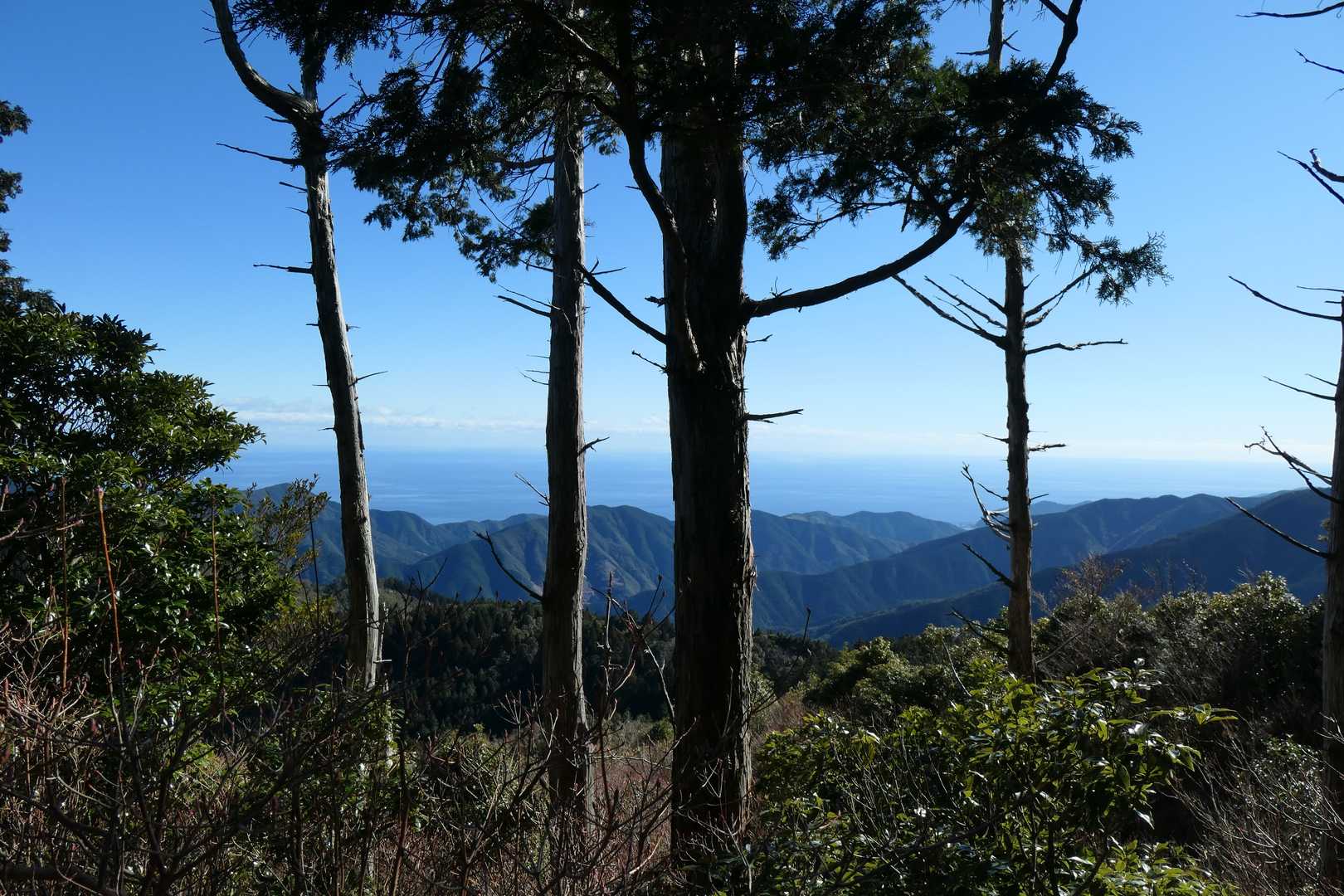 太平洋が見えます🤩