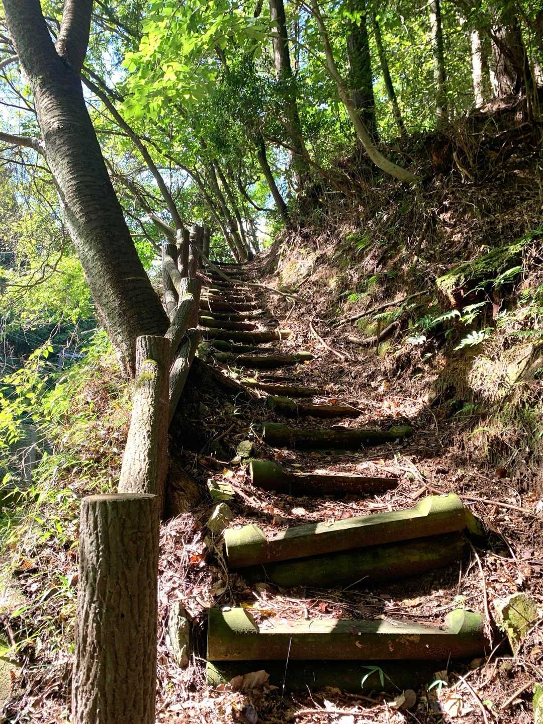 歌垣山登山口バス停-かがいの広場-歌垣山-堀越峠 往復コースの写真