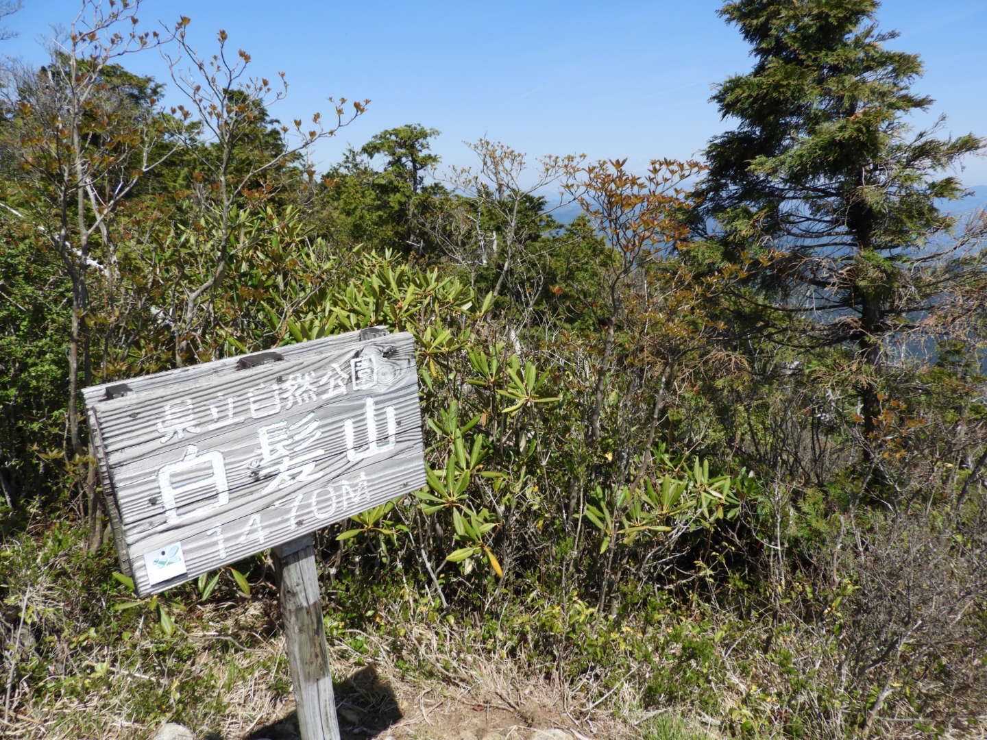 おー山頂

四国百名山　白髪山　緑の日のピークゲット