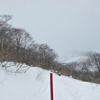 今年は登山口の看板無くてわかりにくいですが、ゲート入ってからの左斜面を適当に直登すればOK