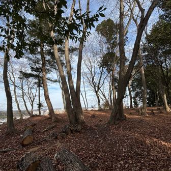 展望広場にはベンチはありませんが、割と広いです