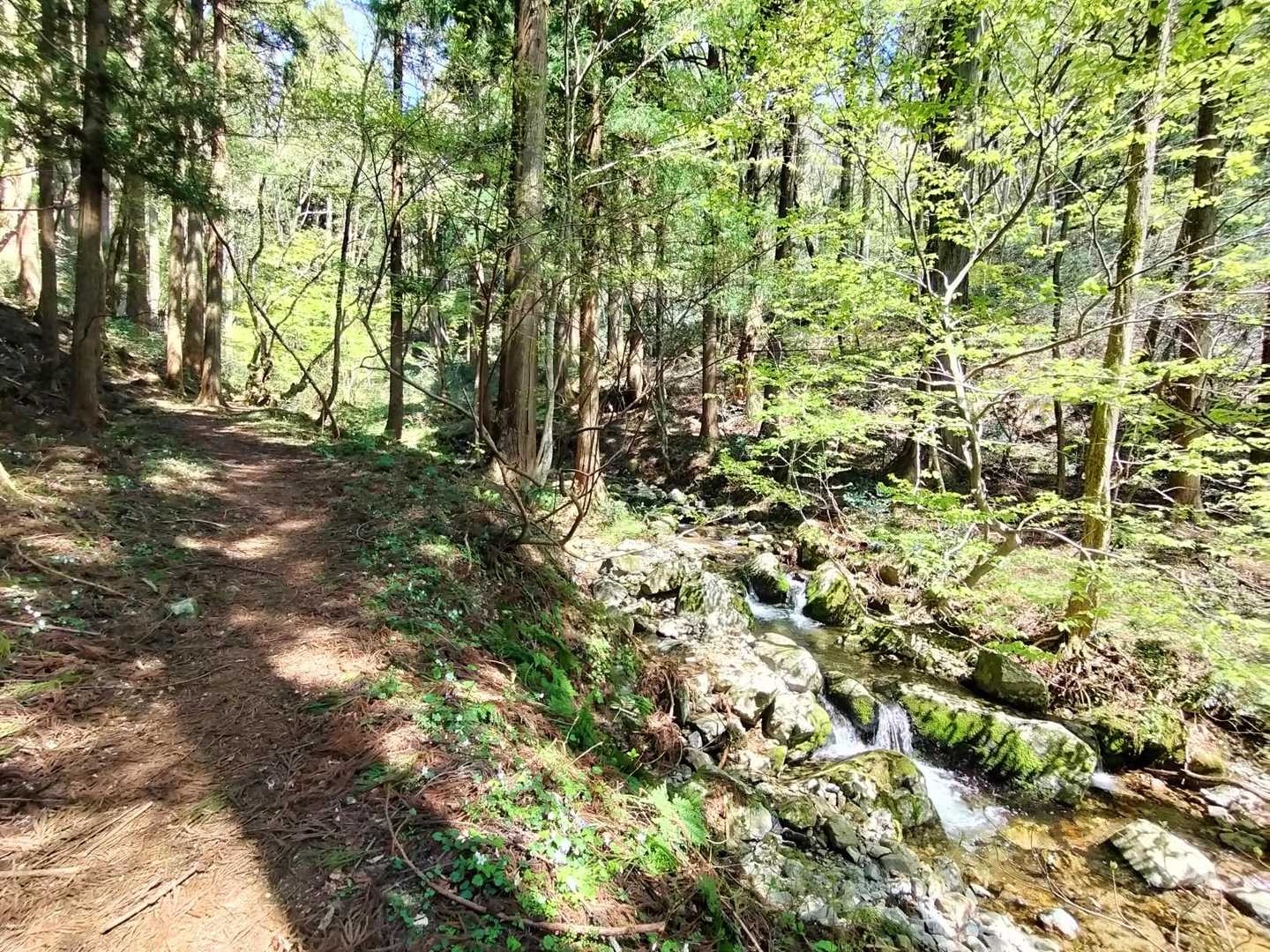 小川ともお別れ、高度を上げて行きます🧗‍♂️