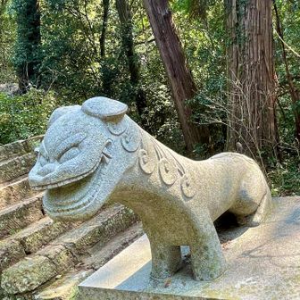 阿吽の呼吸ですね🤭
あー、いい天気だねぇって笑ってるみたいです🎵

こちらの狛犬さん、耳とかお顔が🐶ちゃんみたいで可愛いです✨　