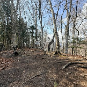 いつ以来だろう
登り切って笑顔になれたのは🤔