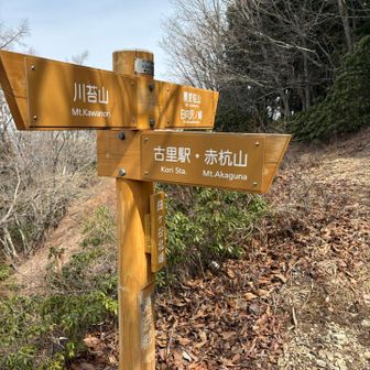 曲ヶ谷北峰、さぁ赤杭尾根です♪