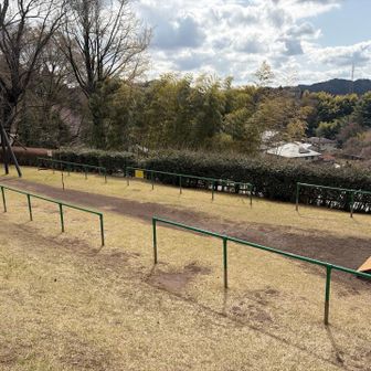後少し…公園の誘惑( ꒪Д꒪)
ちょっと…やりたいです…私