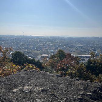 山頂からの景色いいじゃん🙂