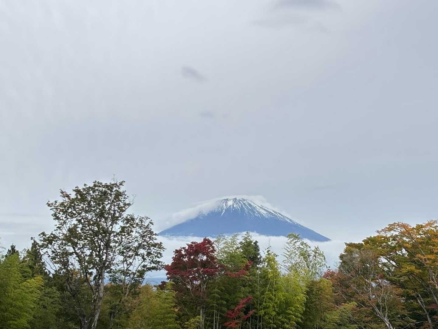 富士箱根トレイル（足柄駅〜金時山〜駿河小山駅）の写真