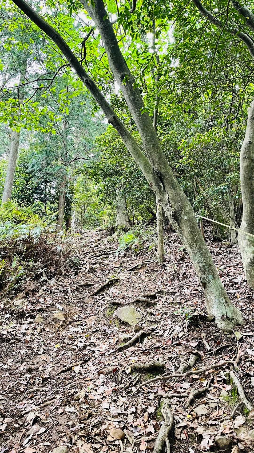 次は袴腰山へ🚶‍♀️