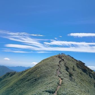 素敵です。