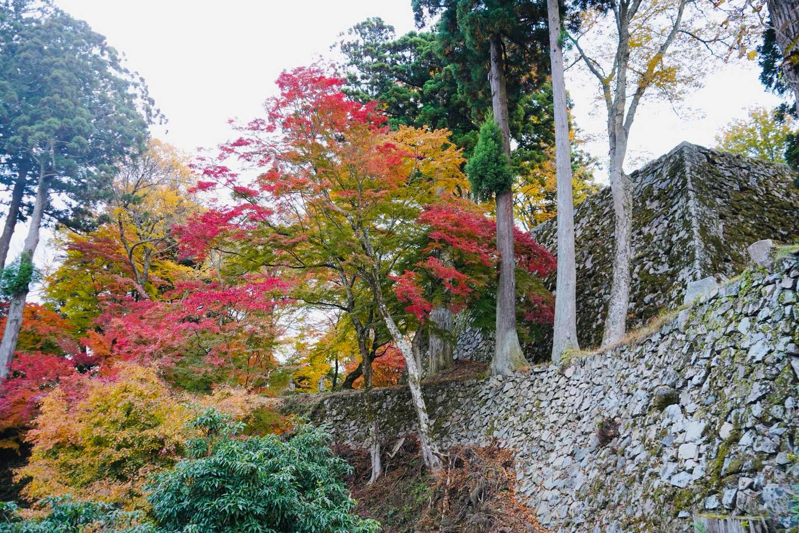 高取城跡入口-高取山 往復コースの写真