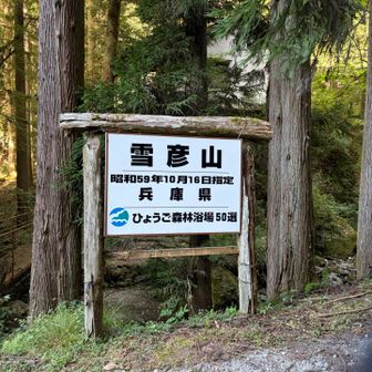森林浴場♨️わくわく
