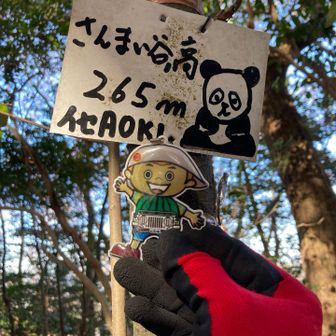 さんまい谷の高💚\( ´˘`)/