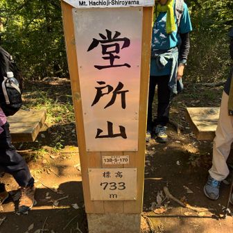 この辺りから人が増え、一安心😮‍💨